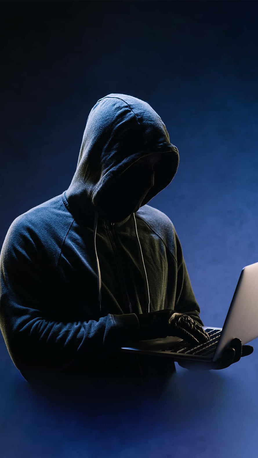 Anonymous Hacker in Hoodie Typing on Laptop in Dark Blue Room HD phone wallpaper