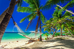 Tropical Paradise Beach With Hammock Under Palm Trees And Turquoise Ocean HD wallpaper