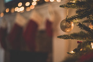 Cozy Christmas Tree Branch With Glittering Gold Ornament And Warm Holiday Lights HD wallpaper