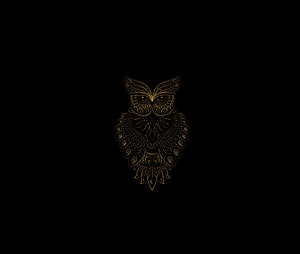 Intricate Golden Owl Line Art on Black Background HD wallpaper