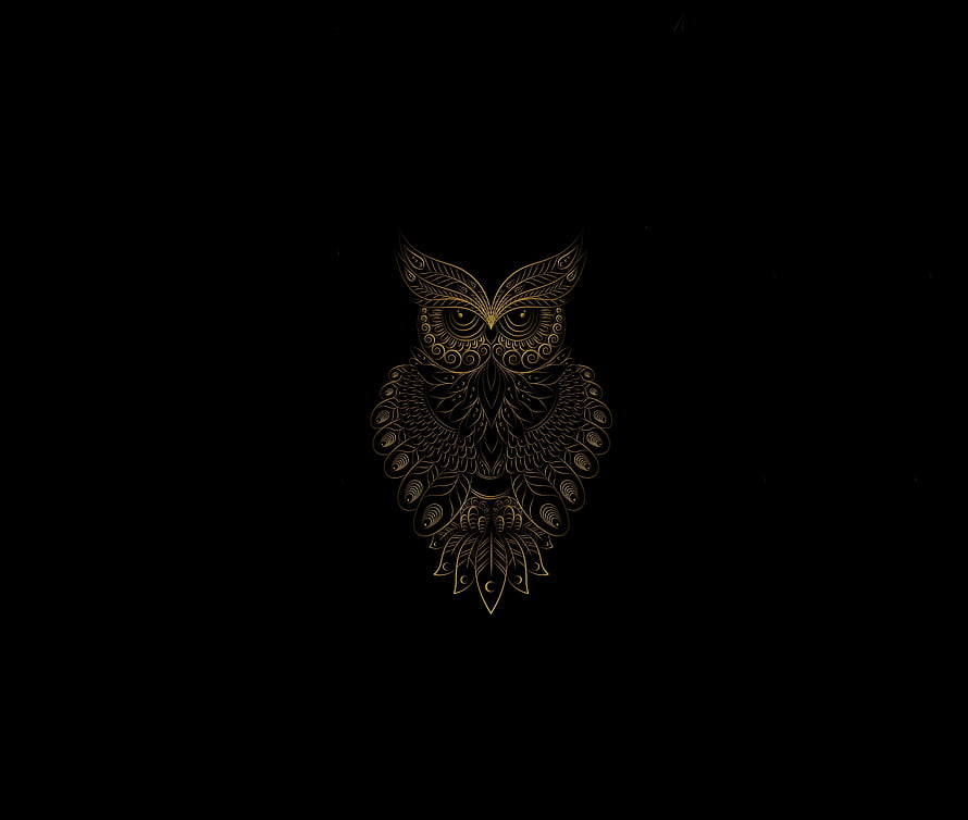 Intricate Golden Owl Line Art on Black Background HD wallpaper