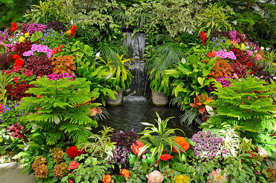 Lush tropical garden with colorful flowers and a central cascading waterfall HD wallpaper