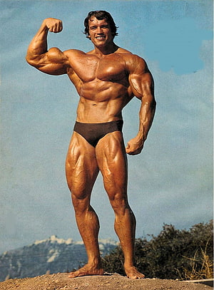 Arnold Schwarzenegger Classic Bodybuilding Pose Vintage Photo HD phone wallpaper