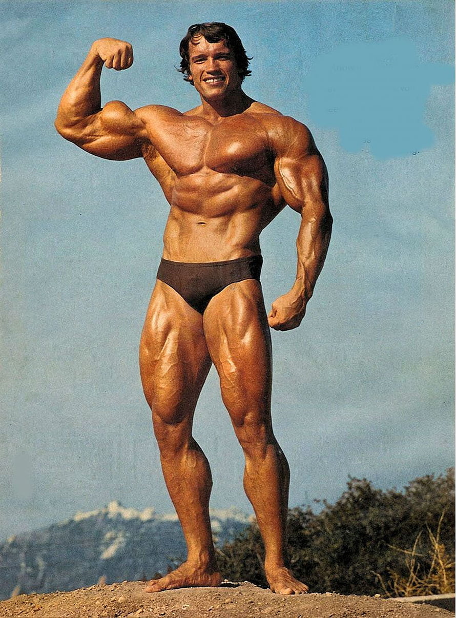 Arnold Schwarzenegger Classic Bodybuilding Pose Vintage Photo HD phone wallpaper