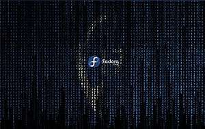 Fedora Linux Logo on Digital Code Rain Background HD wallpaper