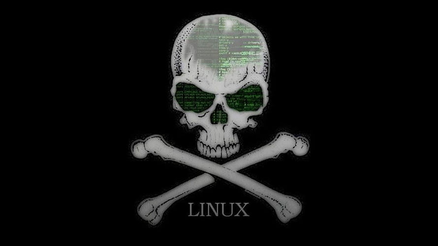 Linux Skull and Crossbones with Green Matrix Code on Black Background HD wallpaper