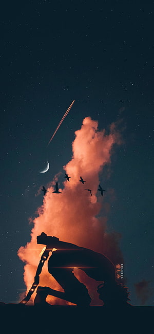 One Piece Silhouette of Monkey D. Luffy Crouching Under a Starry Night Sky with Shooting Star and Birds HD phone wallpaper