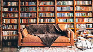 Cozy Library Living Room with Leather Sofa and Bookshelves HD wallpaper