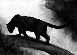 Black Panther Walking on a Log in a Misty Forest HD wallpaper