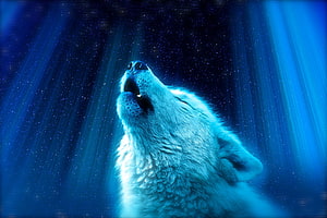 White Wolf Howling Under a Starry Night Sky with Blue Light Rays HD wallpaper