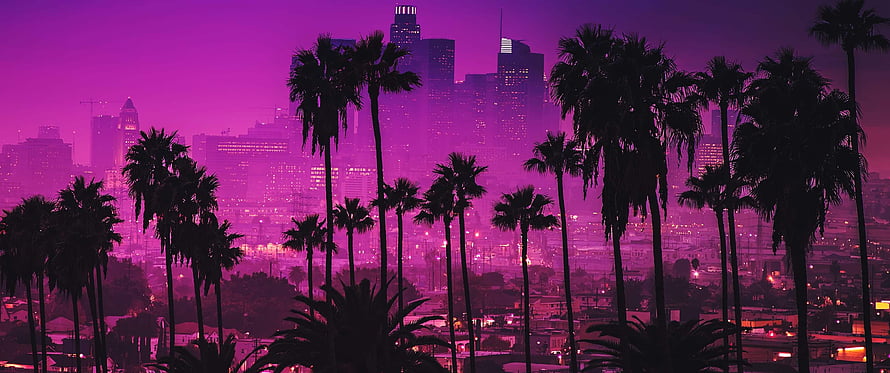 Los Angeles skyline at dusk with palm tree silhouettes in a vibrant purple and magenta haze HD wallpaper