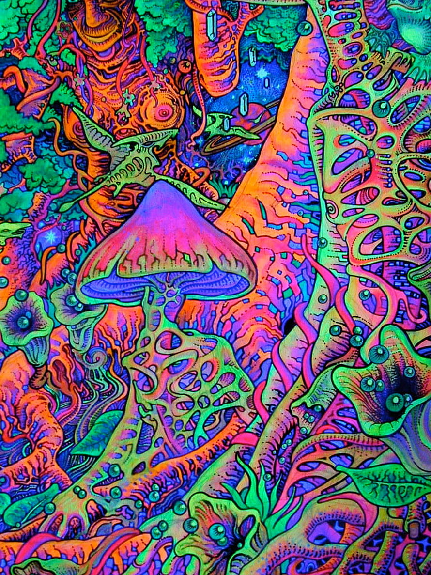 Vibrant Psychedelic Mushroom Forest with Surreal Organic Patterns and Neon Colors HD phone wallpaper