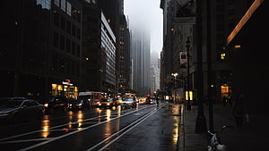 Foggy City Street with Wet Pavement and Glowing Car Headlights HD wallpaper