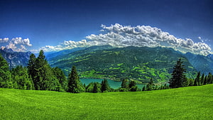Vibrant Alpine Meadow with Turquoise Lake and Forested Mountains Under a Blue Sky HD wallpaper