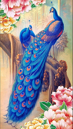 Vibrant Blue Peacock With Long Tail Feathers Perched On Branch Surrounded By Pink And Yellow Peonies HD phone wallpaper