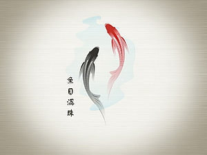 Yin Yang Koi Fish Wallpaper - Red and Black Fish Symbolizing Balance and Harmony HD wallpaper