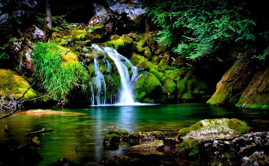 Serene Forest Waterfall Cascading Into Emerald Pool Surrounded By Mossy Rocks HD wallpaper
