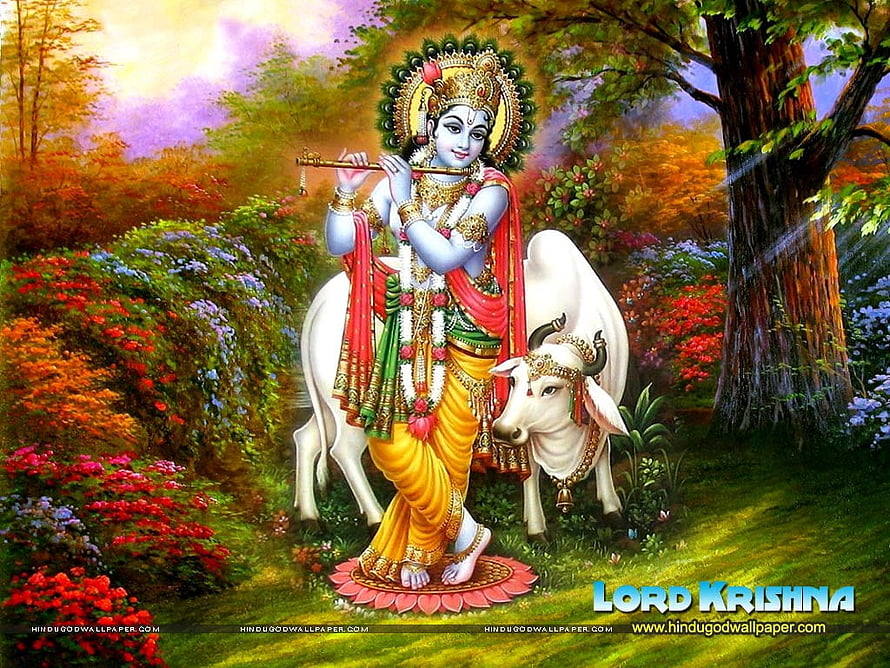 Lord Krishna Playing Flute with White Cow in Vibrant Garden HD wallpaper