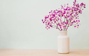 Pink Gypsophila Blooms in a Cream Ceramic Vase on a Light Wooden Table HD wallpaper