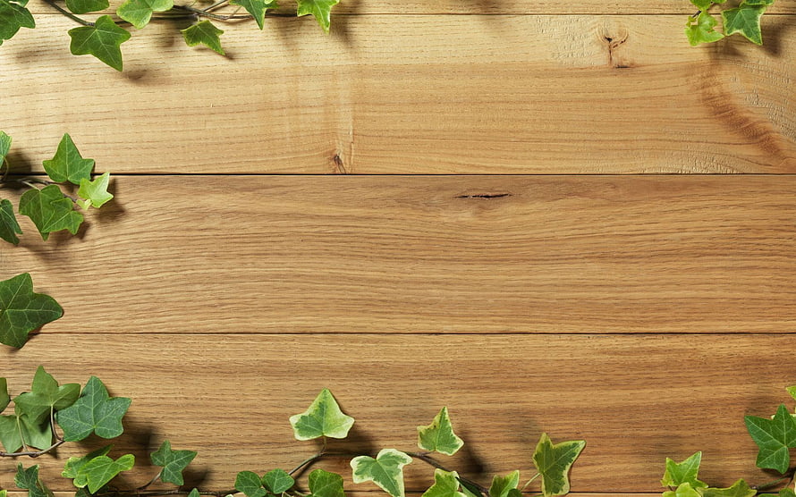 Natural Green Ivy Leaves Framing a Light Wooden Plank Background HD wallpaper