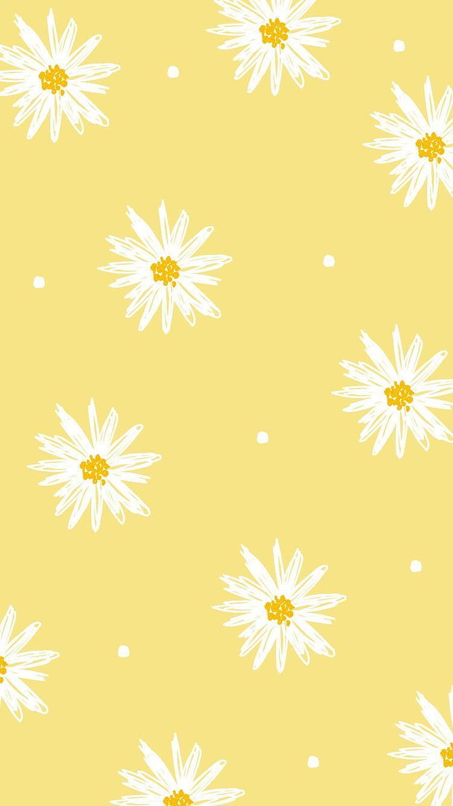Pastel Yellow Daisy Pattern with White Petals and Yellow Centers HD phone wallpaper