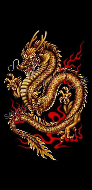 Golden Chinese Dragon Illustration With Red Flames On Black Background HD phone wallpaper