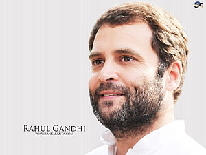 Rahul Gandhi Portrait with Beard and White Collar on Light Background HD wallpaper