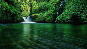 Lush Green Waterfall Cascading Into a Serene Forest Pool HD wallpaper