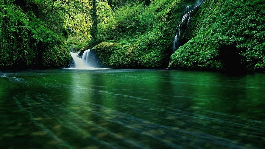 Lush Green Waterfall Cascading Into a Serene Forest Pool HD wallpaper