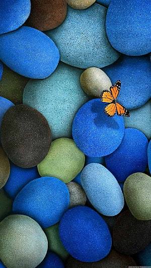 Monarch Butterfly Resting on Smooth Blue and Green Pebbles HD phone wallpaper