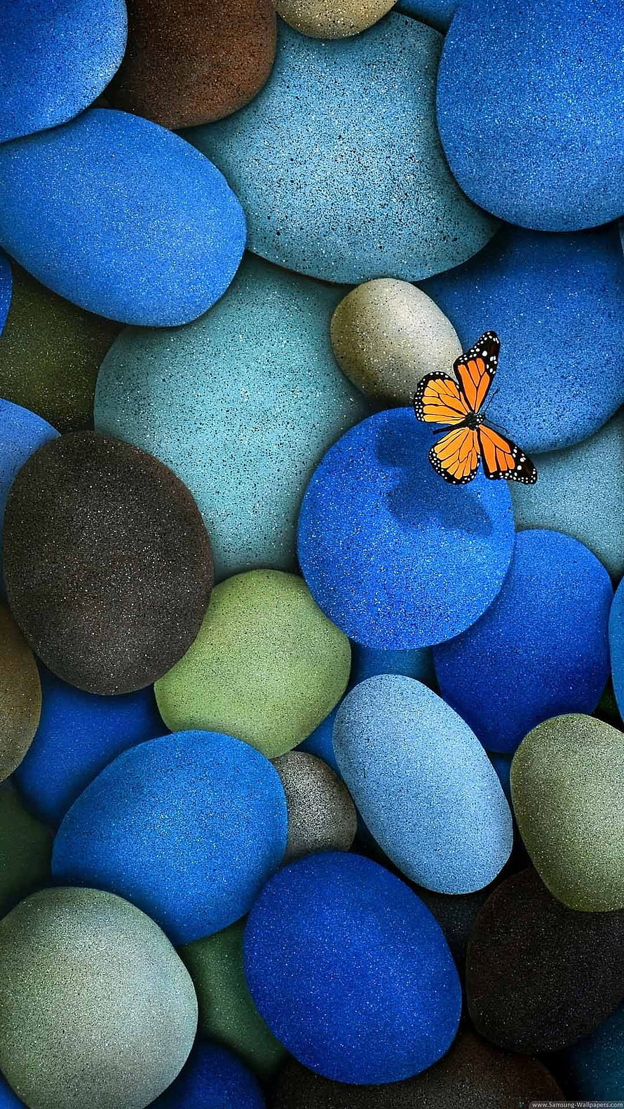 Monarch Butterfly Resting on Smooth Blue and Green Pebbles HD phone wallpaper