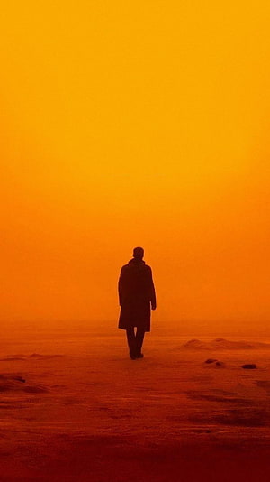 Silhouette of a man walking alone in a vast orange desert landscape at sunset, Blade Runner 2049 (2022) movie HD phone wallpaper