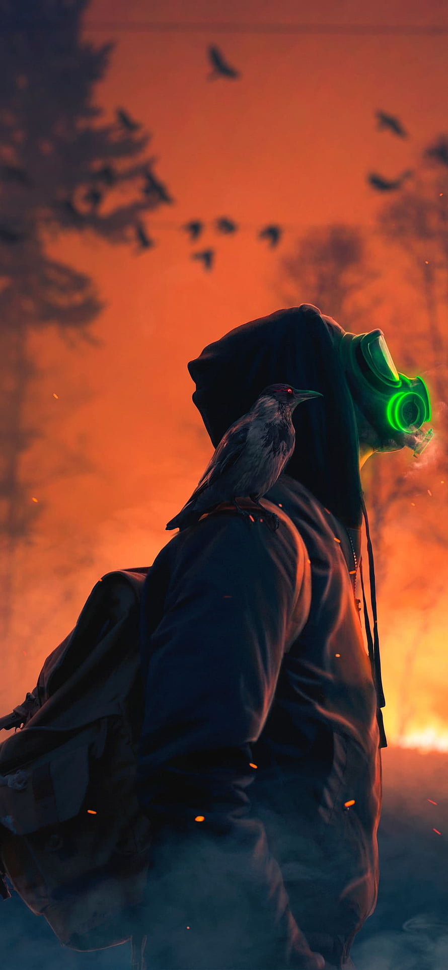 Hooded Figure With Glowing Green Gas Mask And Crow In Post-Apocalyptic Sunset HD phone wallpaper