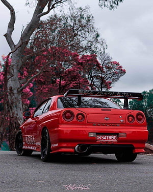 Red Nissan Skyline GT-R R34 Rear View with Large Spoiler Parked Under Pink Blossom Trees HD phone wallpaper
