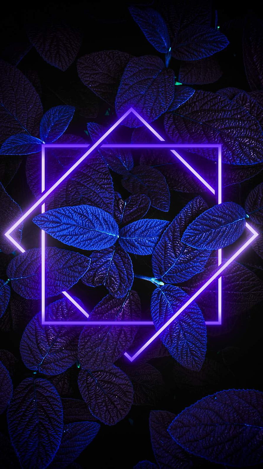 Dark Nature Neon Geometric Shapes Over Glowing Blue Leaves HD phone wallpaper