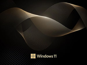 Windows 11 Abstract Gold Wave Line Art on Black Background HD wallpaper