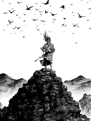 Black and White Manga Samurai Standing on Cliff with Birds, Vagabond - and Scan Gallery, Manga HD phone wallpaper