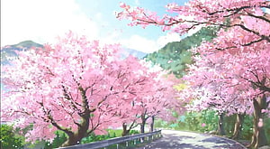 Anime Cherry Blossom Road Lined With Pink Sakura Trees In Spring HD wallpaper