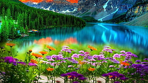 Vibrant Mountain Lake Landscape with Wildflowers and Pine Forest Reflection HD wallpaper