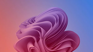 Abstract 3D Render of Flowing Purple and Pink Ribbons on Gradient Background HD wallpaper