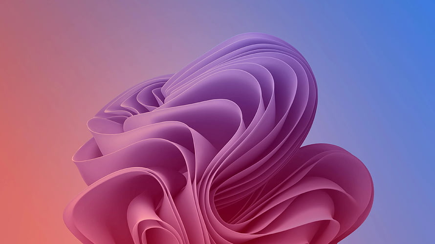 Abstract 3D Render of Flowing Purple and Pink Ribbons on Gradient Background HD wallpaper