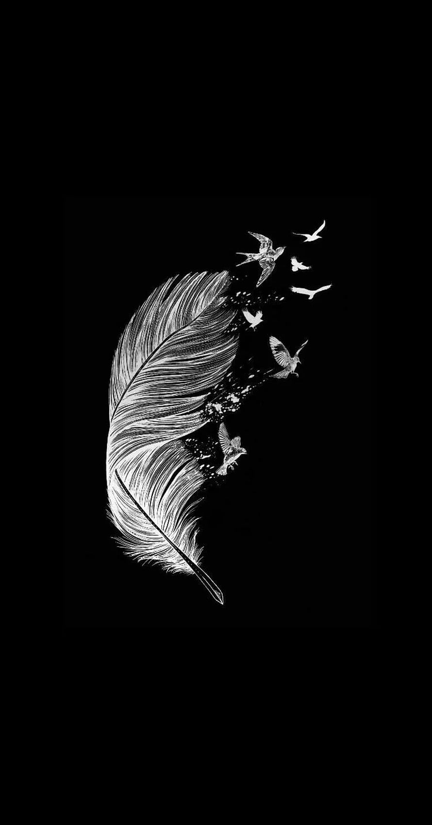 Monochrome Feather Dissolving Into Flying Birds on Black Background HD phone wallpaper