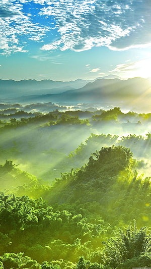 Sunlit Misty Mountain Forest Landscape with Rays of Light Breaking Through Clouds HD phone wallpaper