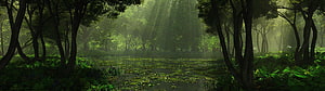 Sunlit Forest Clearing with Misty Water and Lush Green Foliage HD wallpaper