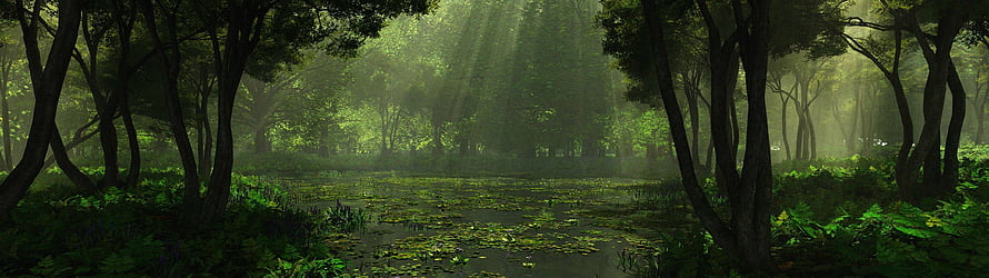 Sunlit Forest Clearing with Misty Water and Lush Green Foliage HD wallpaper