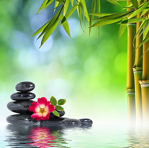 Zen Garden Serenity with Bamboo, Stacked Stones, and a Vibrant Red Flower HD wallpaper