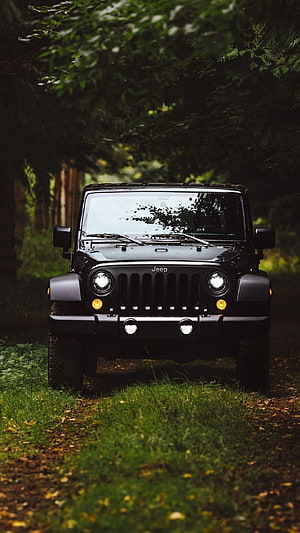 Black Jeep Wrangler Off-Road Adventure in Forest HD phone wallpaper