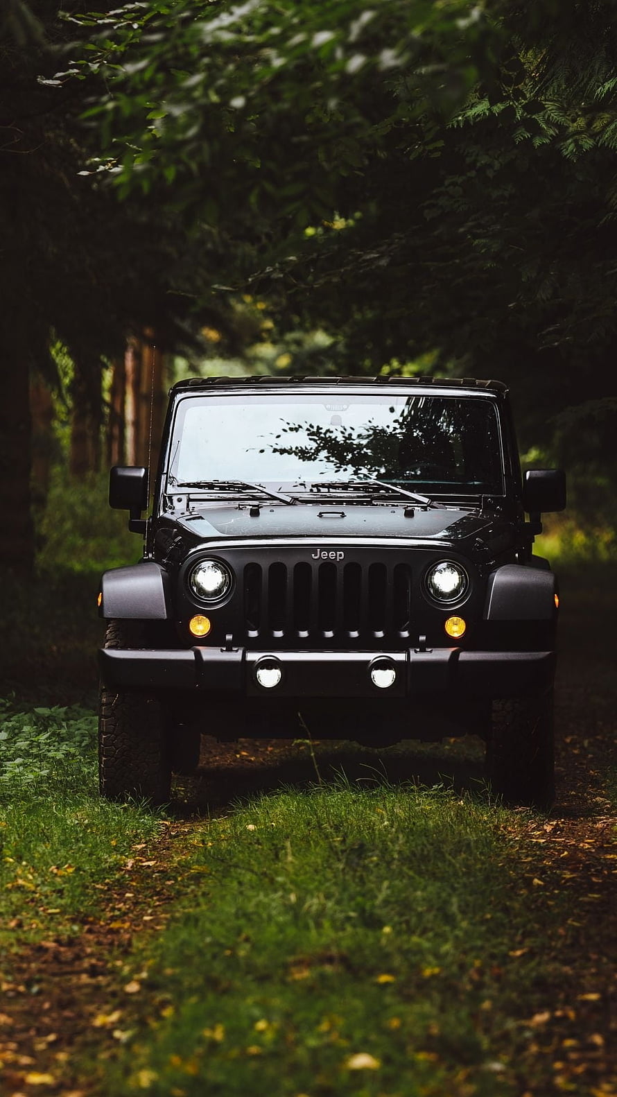 Black Jeep Wrangler Off-Road Adventure in Forest HD phone wallpaper