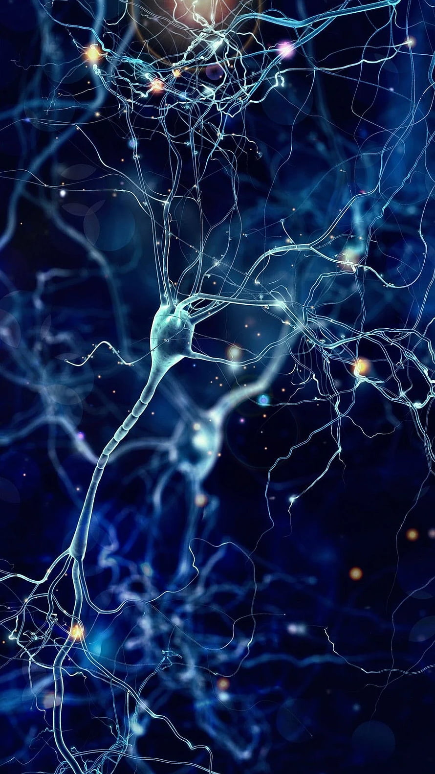 Glowing Blue Neuron Network With Synaptic Connections And Electrical Pulses HD phone wallpaper