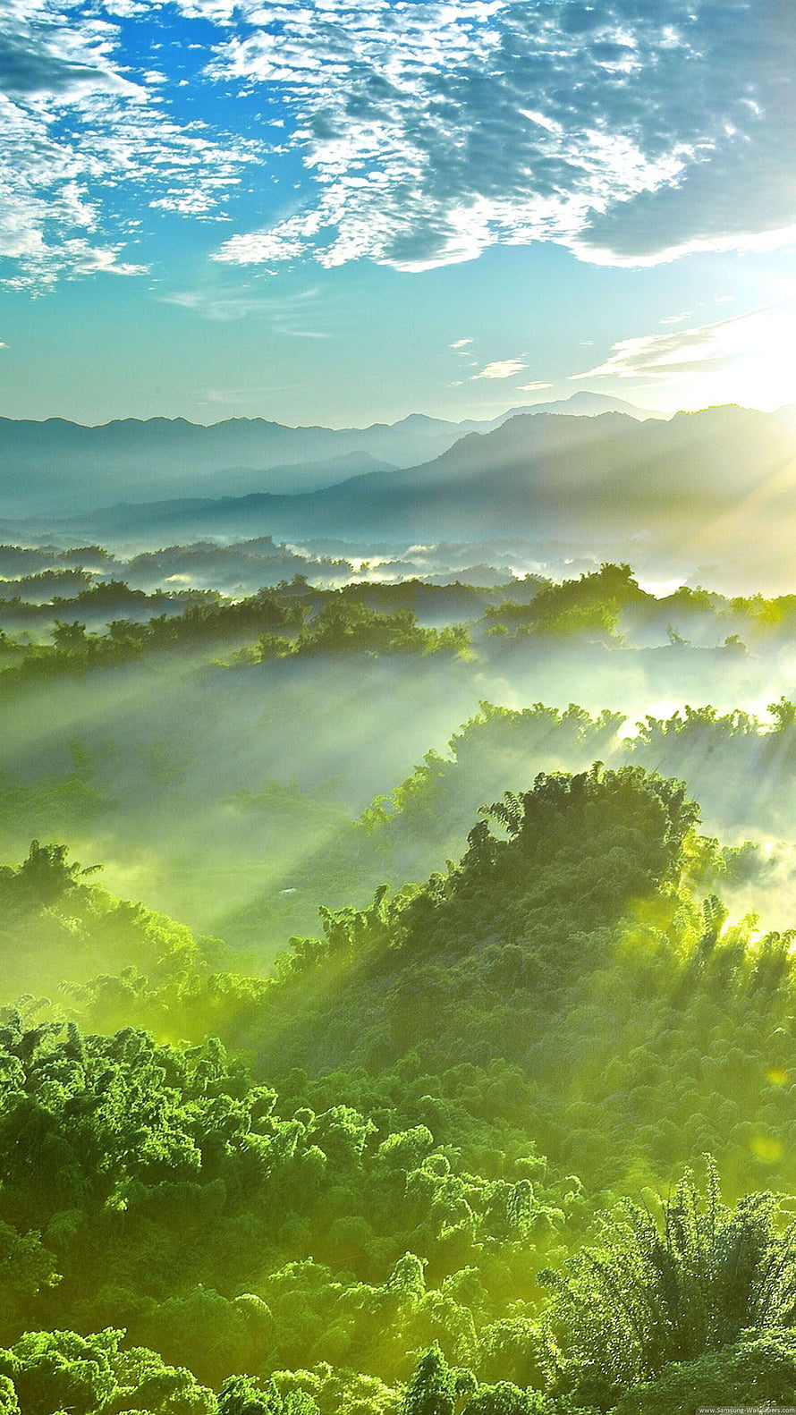 Sunlit Misty Forest Hills With Rays Breaking Through Clouds HD phone wallpaper